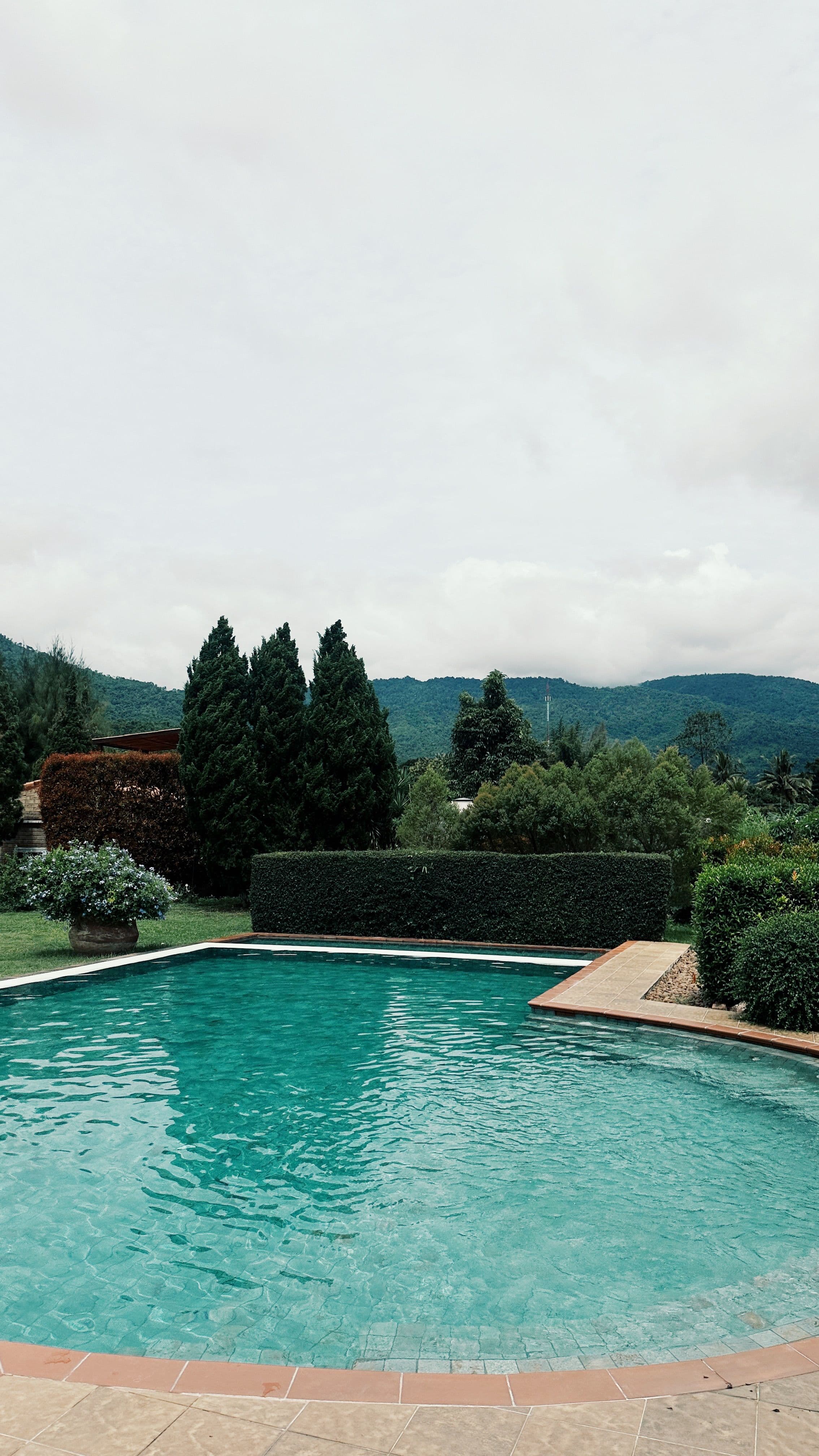 A turquoise pool edged in brick pavers below a clipped hedge
